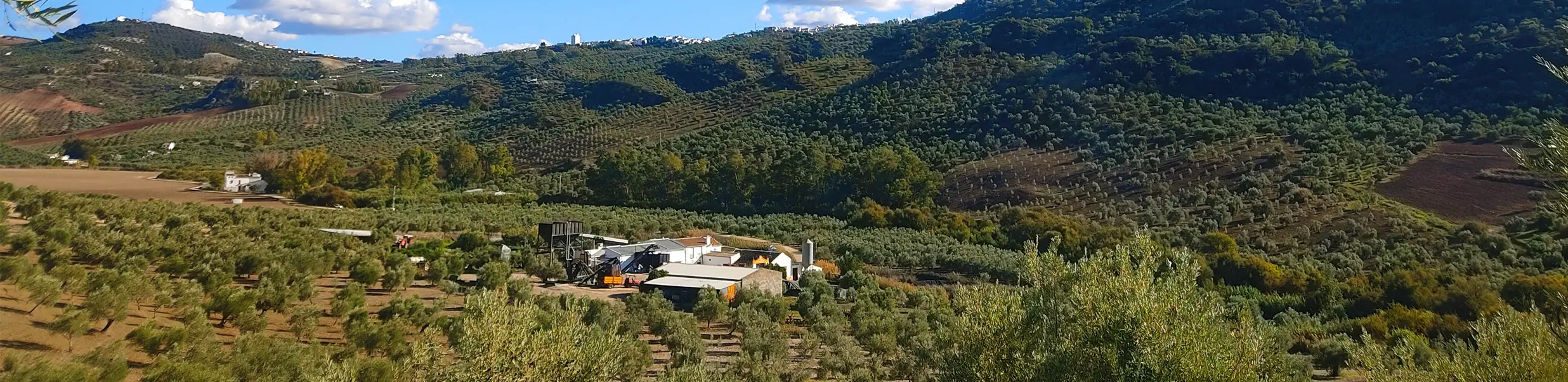 el-salado-imagen-aerea