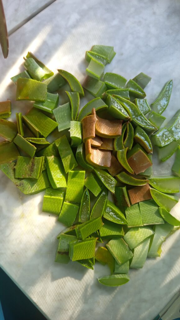 remedio casero aloe vera para tomateras