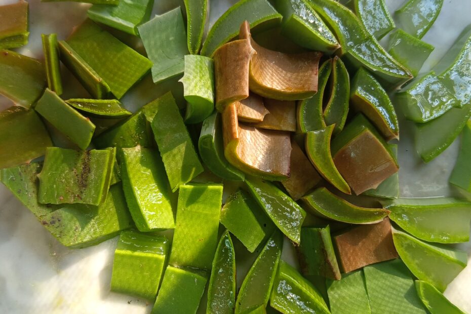 remedio casero aloe vera para tomateras